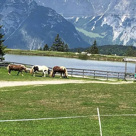 Mit Hallenbad Und Sauna In Seefeld アパート *