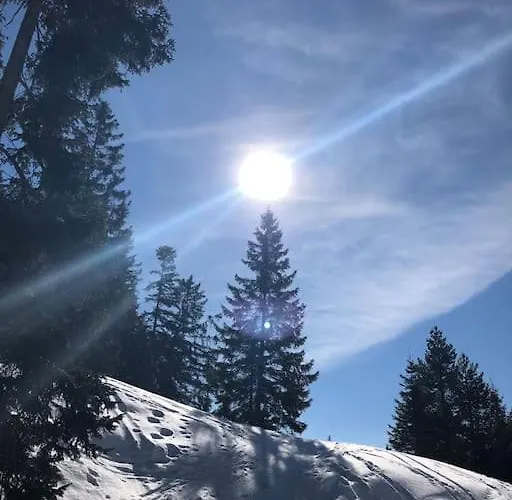 Mit Hallenbad Und Sauna In Seefeld Daire *