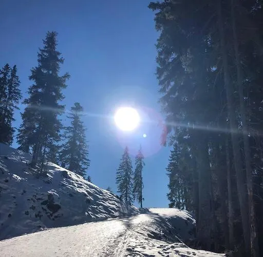 Mit Hallenbad Und Sauna In Seefeld *