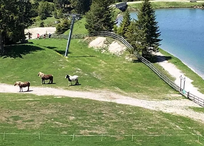 Mit Hallenbad Und Sauna In Seefeld 公寓 蒂罗尔-泽费尔德