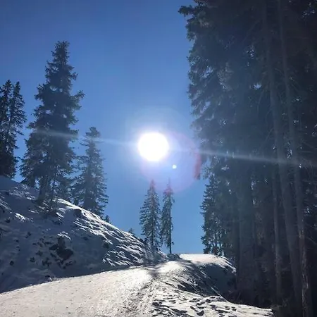 Sonniges In Seefeld *